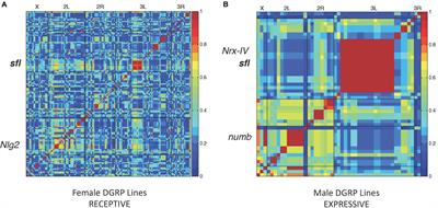 The Drosophila Gene Sulfateless Modulates Autism-Like Behaviors